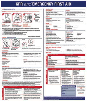 Emergency First Aid Poster